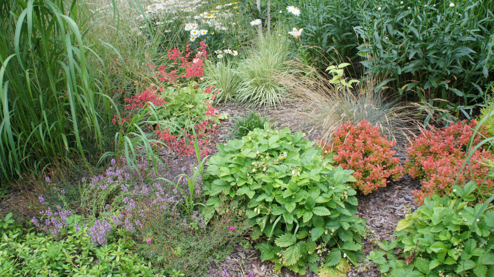 Прохорово лето 2017