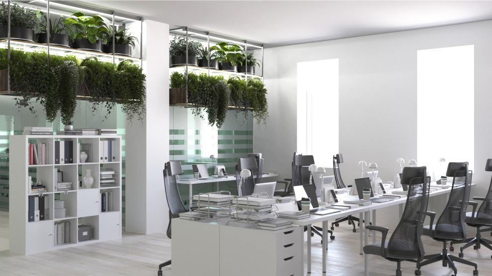 Дизайн-проект офисного пространства