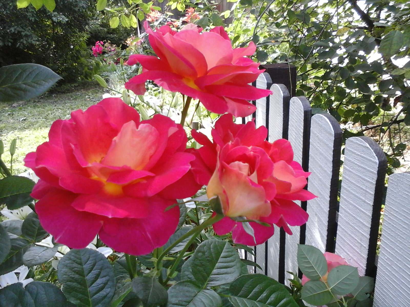 Оформление