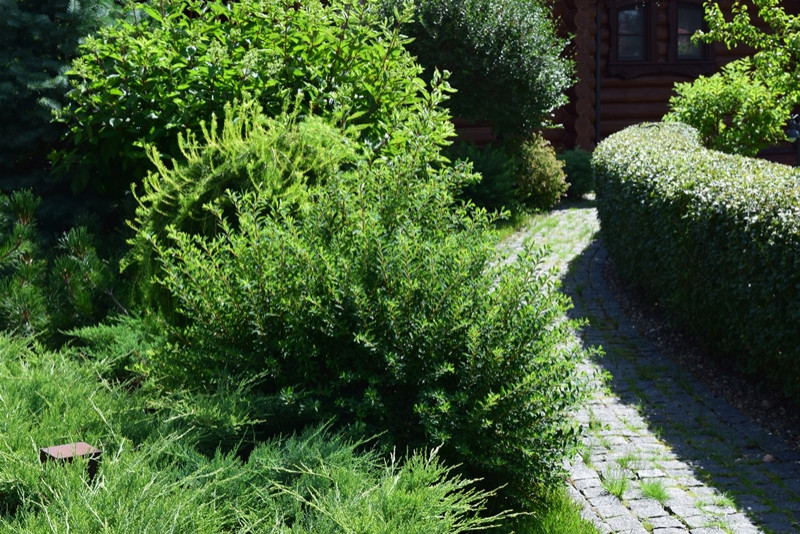 Городецкий район