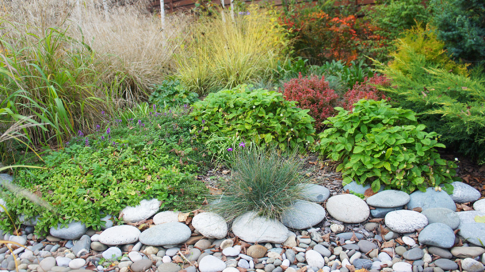 Прохорово 2016