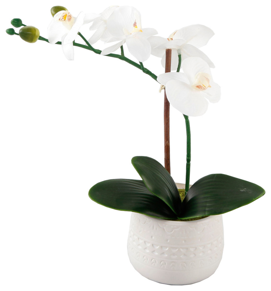 12" Real-touch orchid in WH Mayan ceramic pot,E PACK