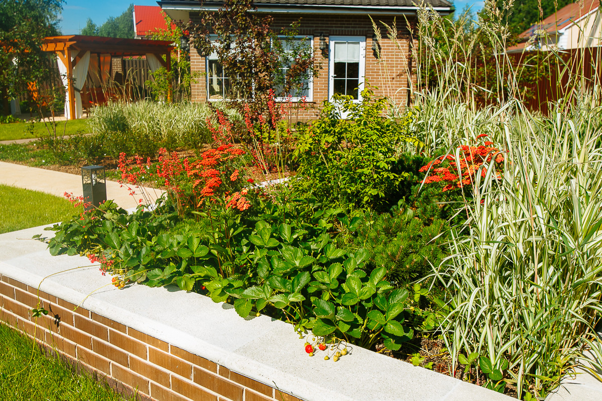 Времена года в саду "Красный октябрь"