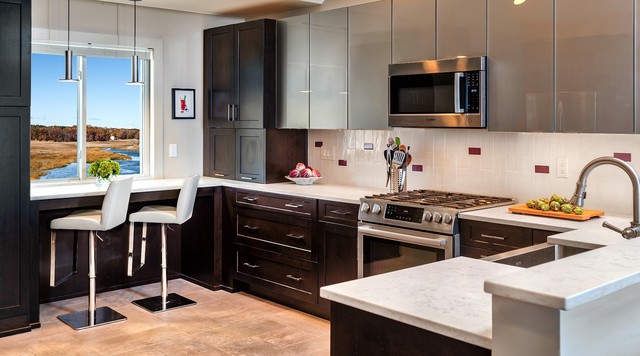 Modern Contemporary Condo transitional-kitchen