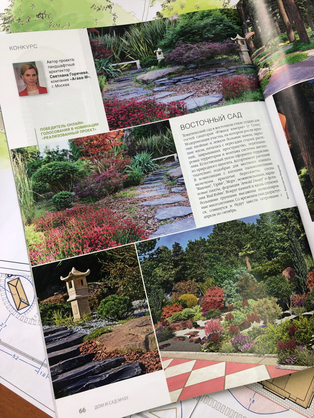 Публикации в прессе