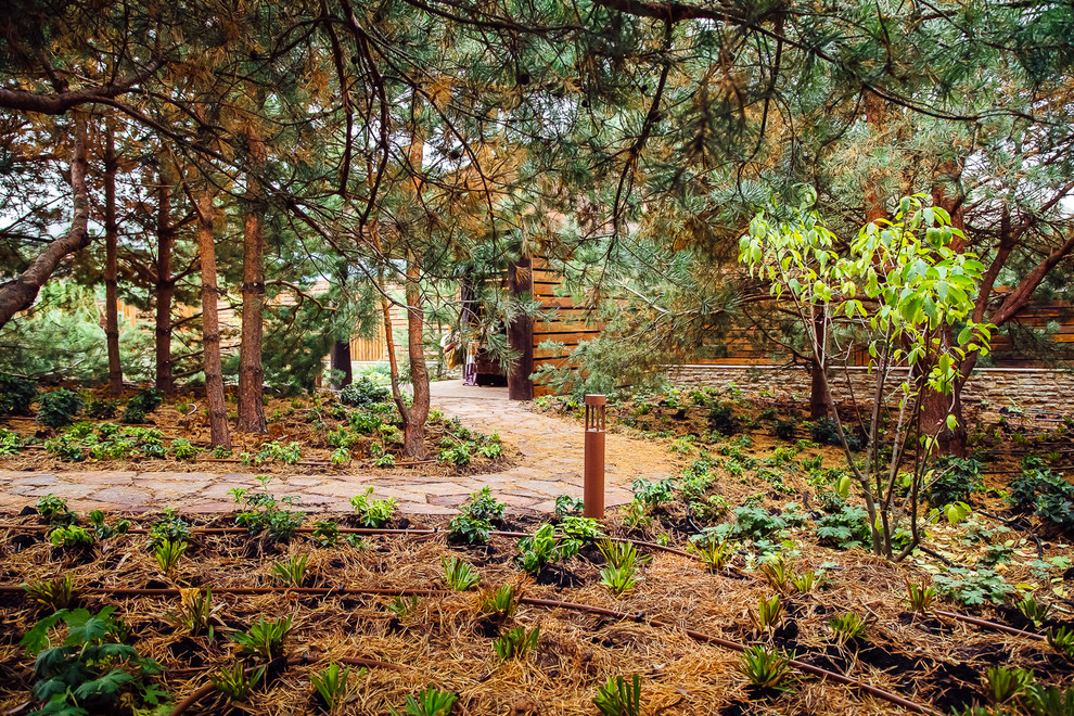 Хвойный переулок