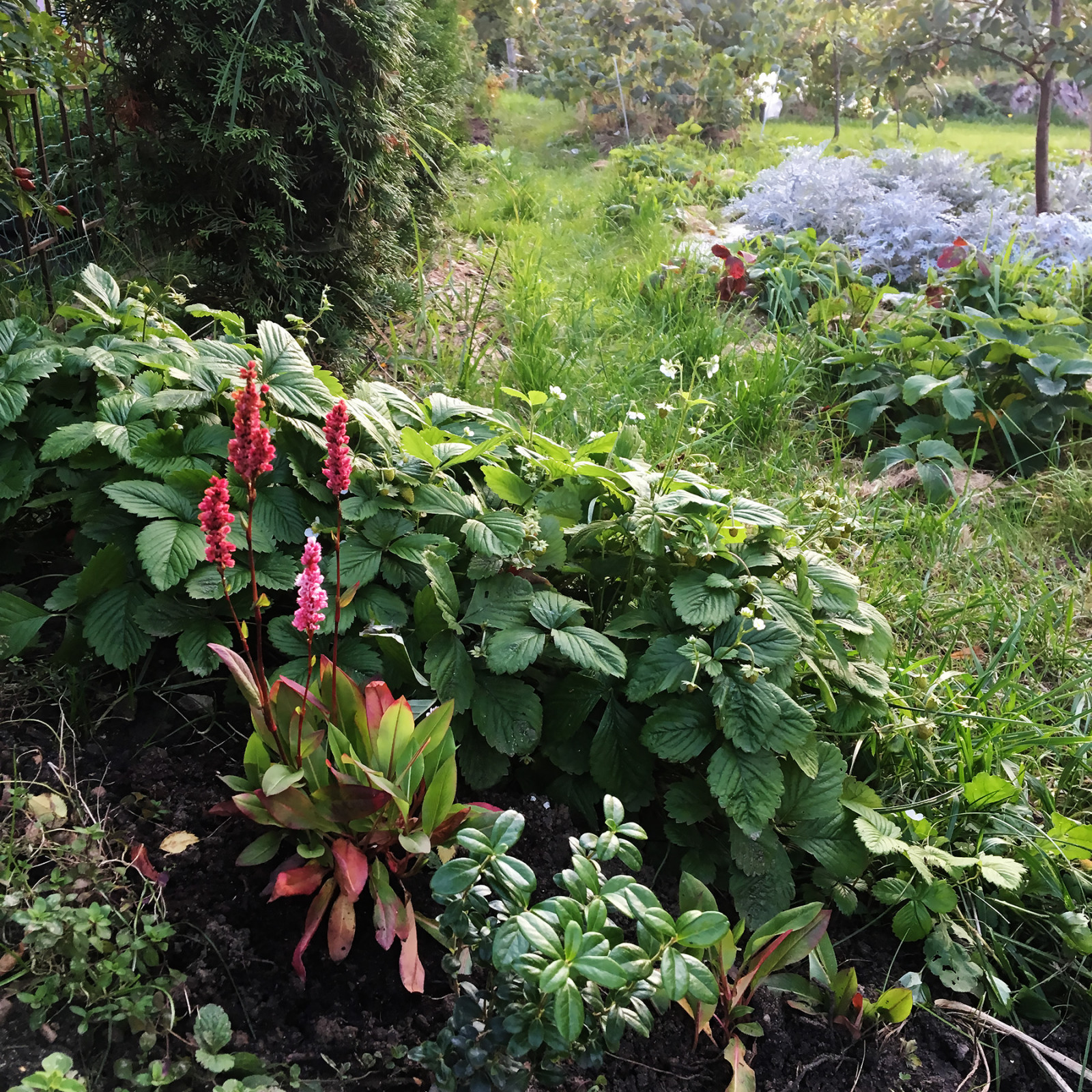 Геопластика