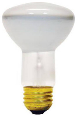 GE Lighting 73026 Reflector R20 Indoor Floodlight, 45W, Soft White