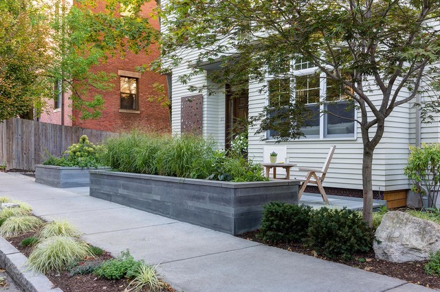 Brookline Modern Front Yard traditional-garden