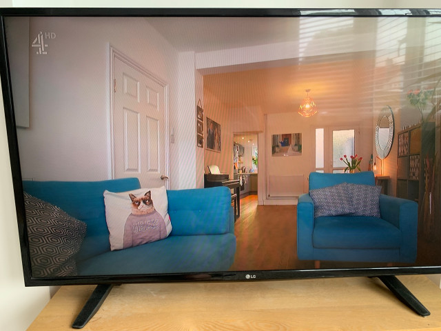 Blue sofas 