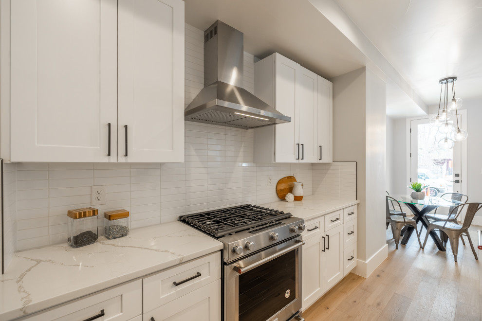 Kitchen - transitional kitchen idea in Denver