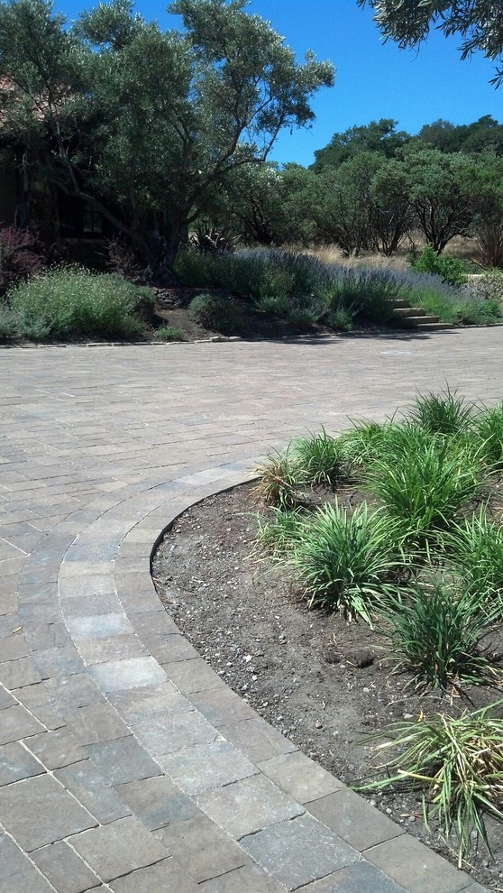 Photo of a mid-sized mediterranean driveway in San Francisco with concrete pavers.