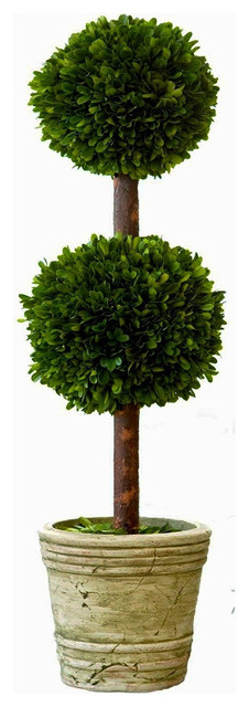 Real Preserved Boxwood Double Ball Topiary 30 ...