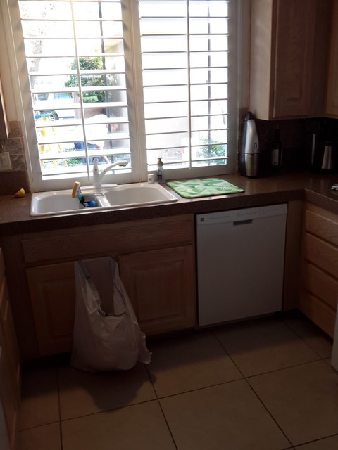 PINGEL PROJECT transitional