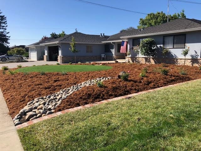 Curb Appeal- Front Yard Landscape Design
