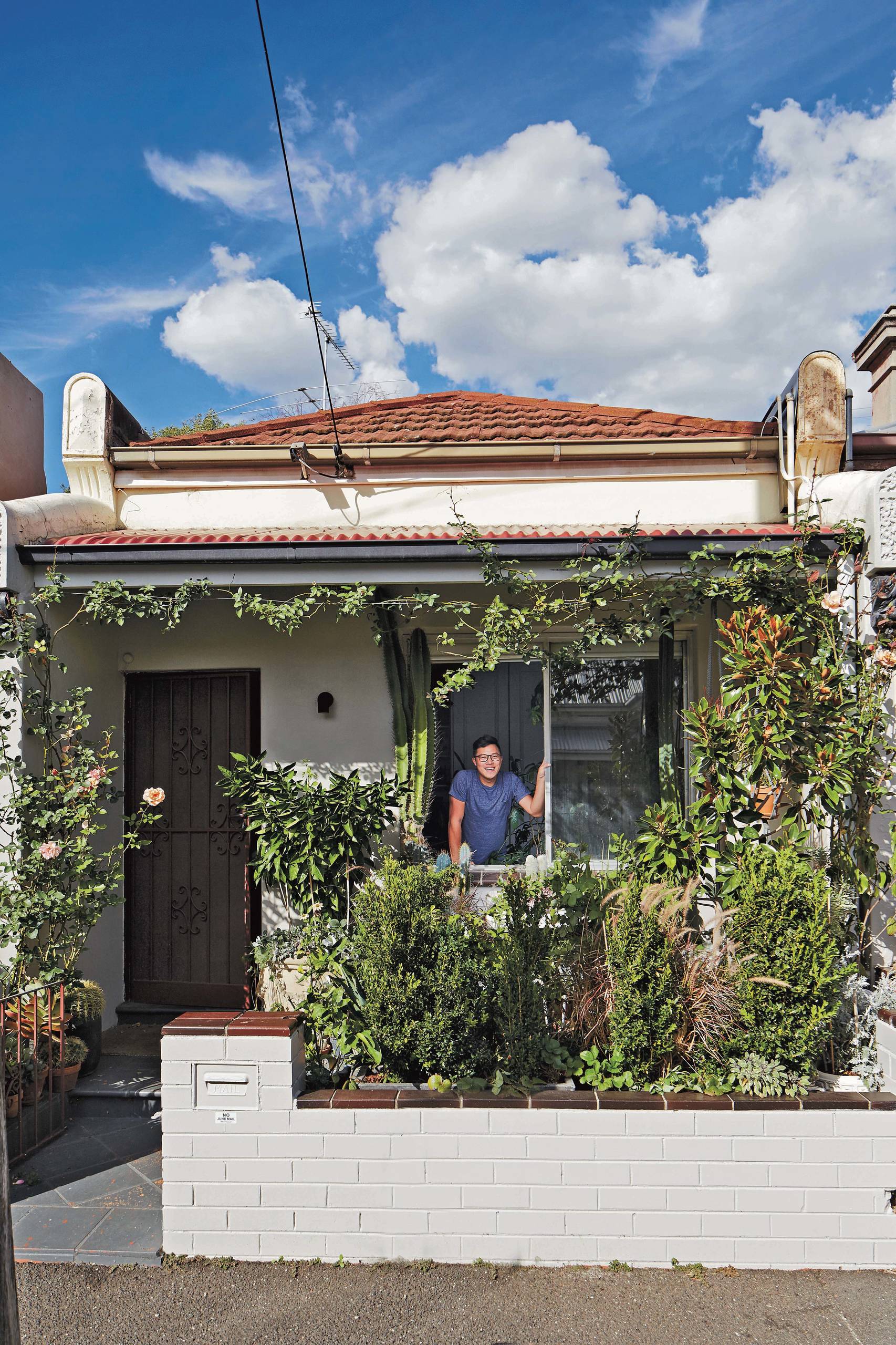 How to Grow an Urban Jungle at Home