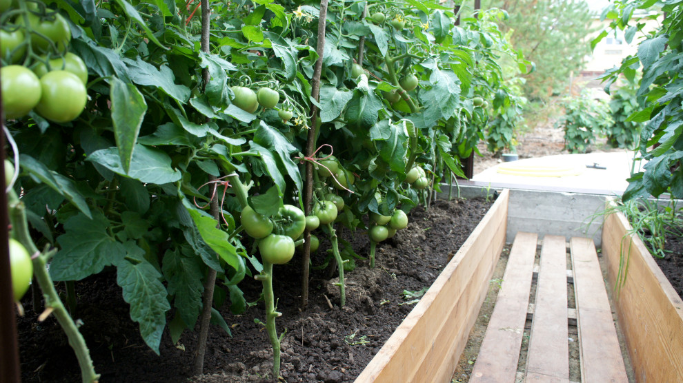 Цветники и композиции крупным планом