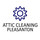 Attic Cleaning Pleasanton