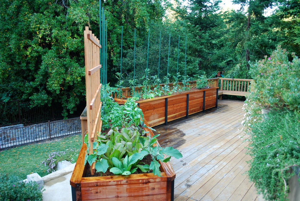 Traditional deck in San Francisco with a container garden.