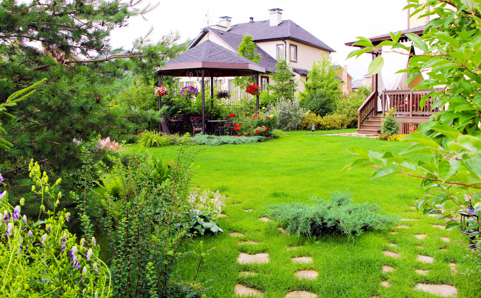 Новые Вешки