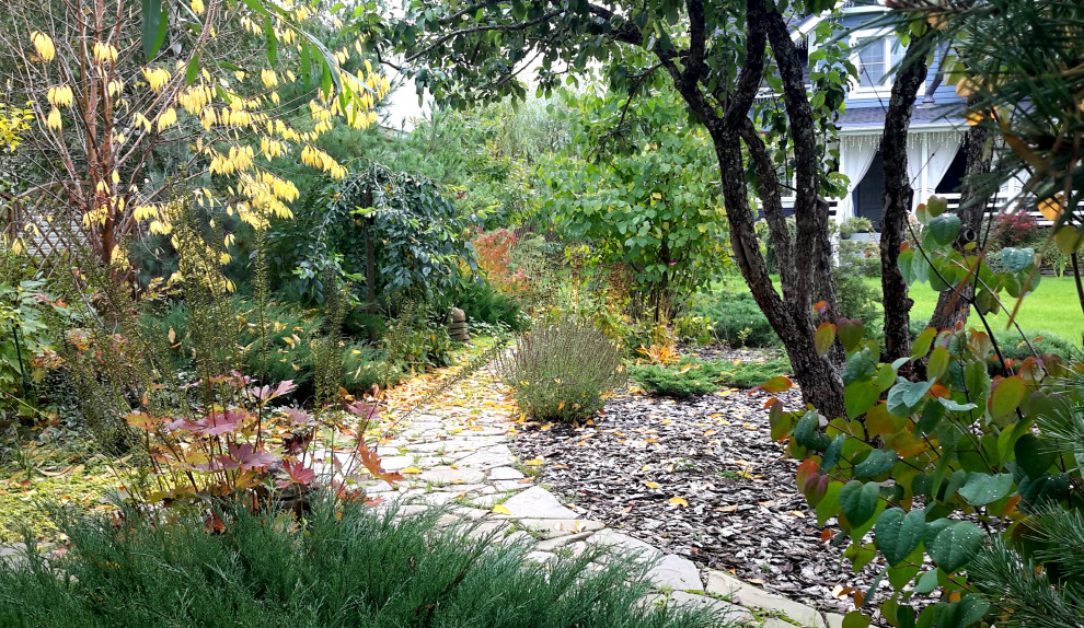 Сад на краю деревни.