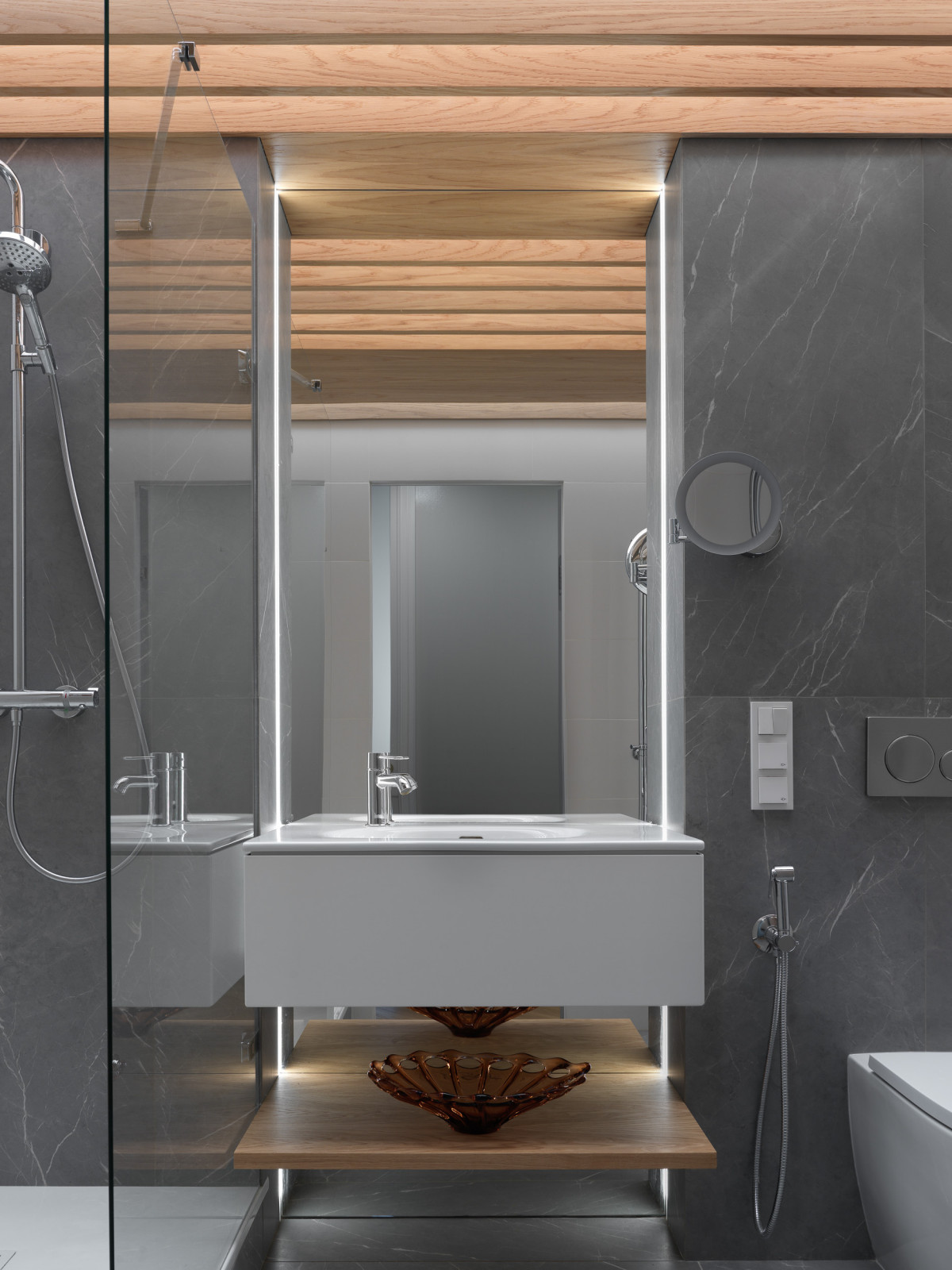 Проект Лебедь