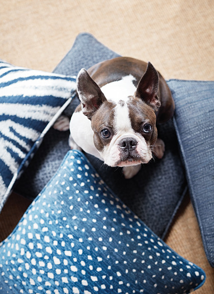 Антивандальные ткани