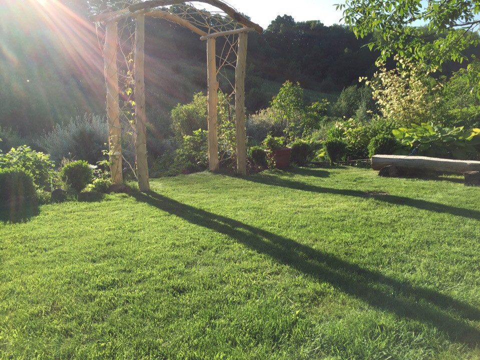 Гостевой сад Ландизайн