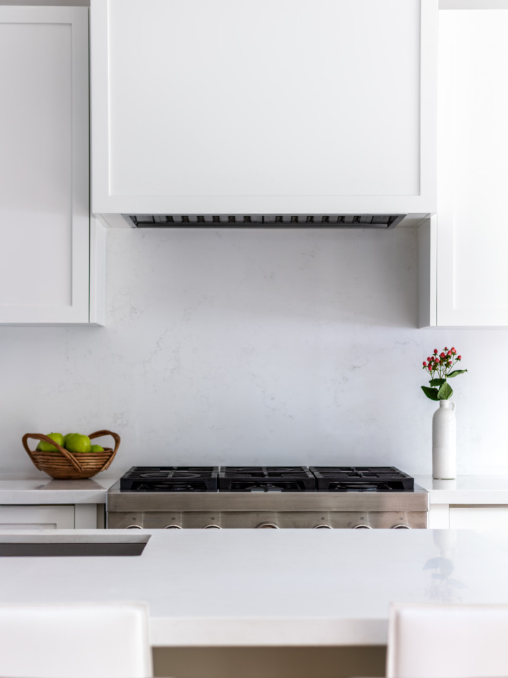 Kitchen - transitional kitchen idea in Toronto