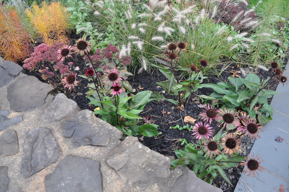 Peabody Residence - Modern - Landscape - Boston - by Inge ...