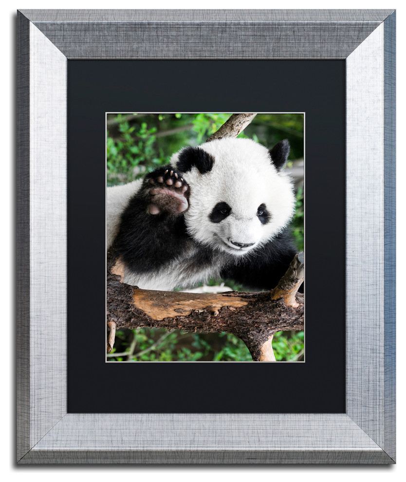 Philippe Hugonnard Giant Panda V Art Contemporary Photographs By Trademark Global