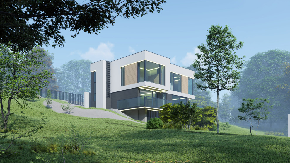 Minimal modern house 207+198