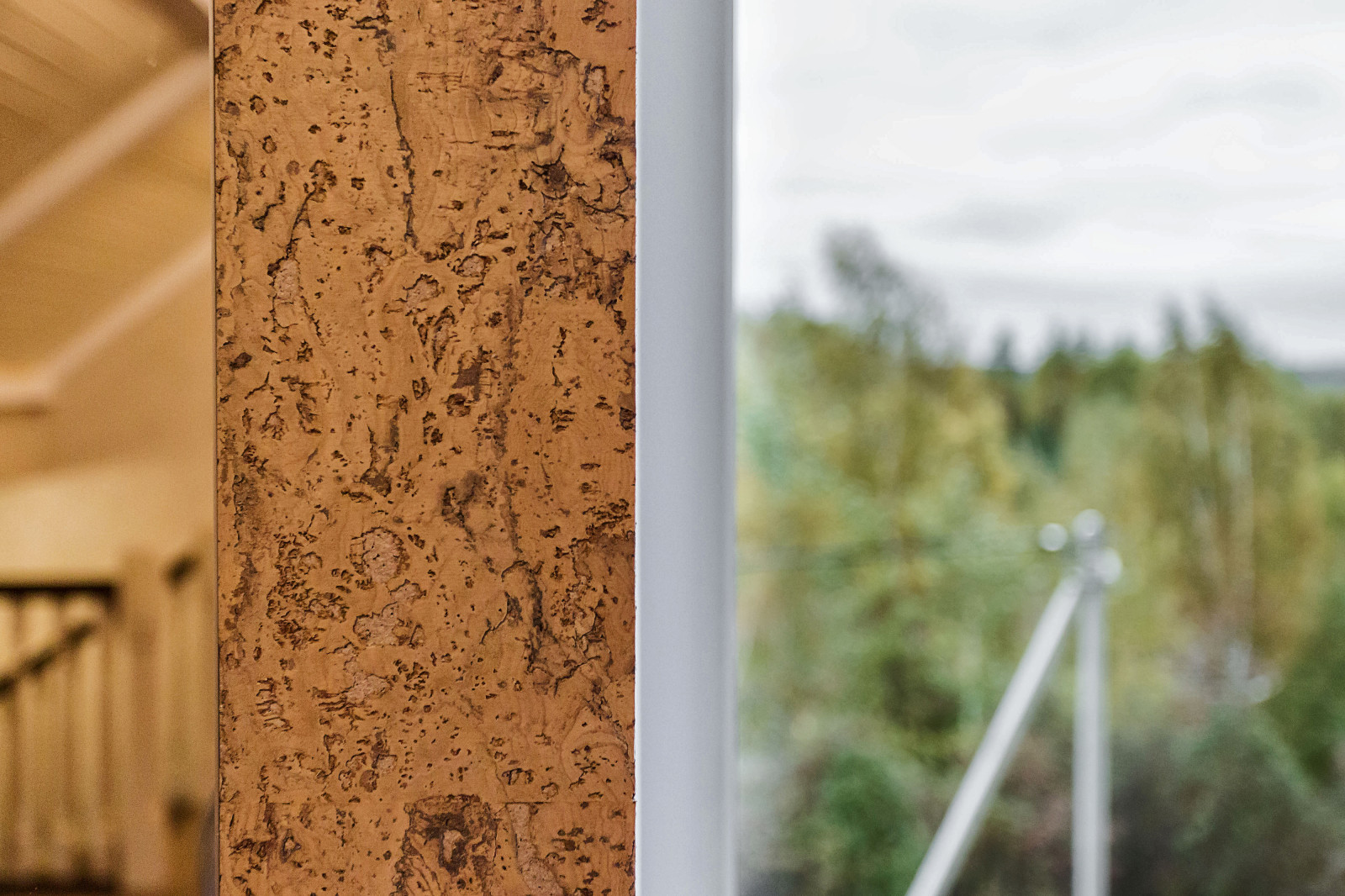 Загородный дом в Санкт-Петербурге