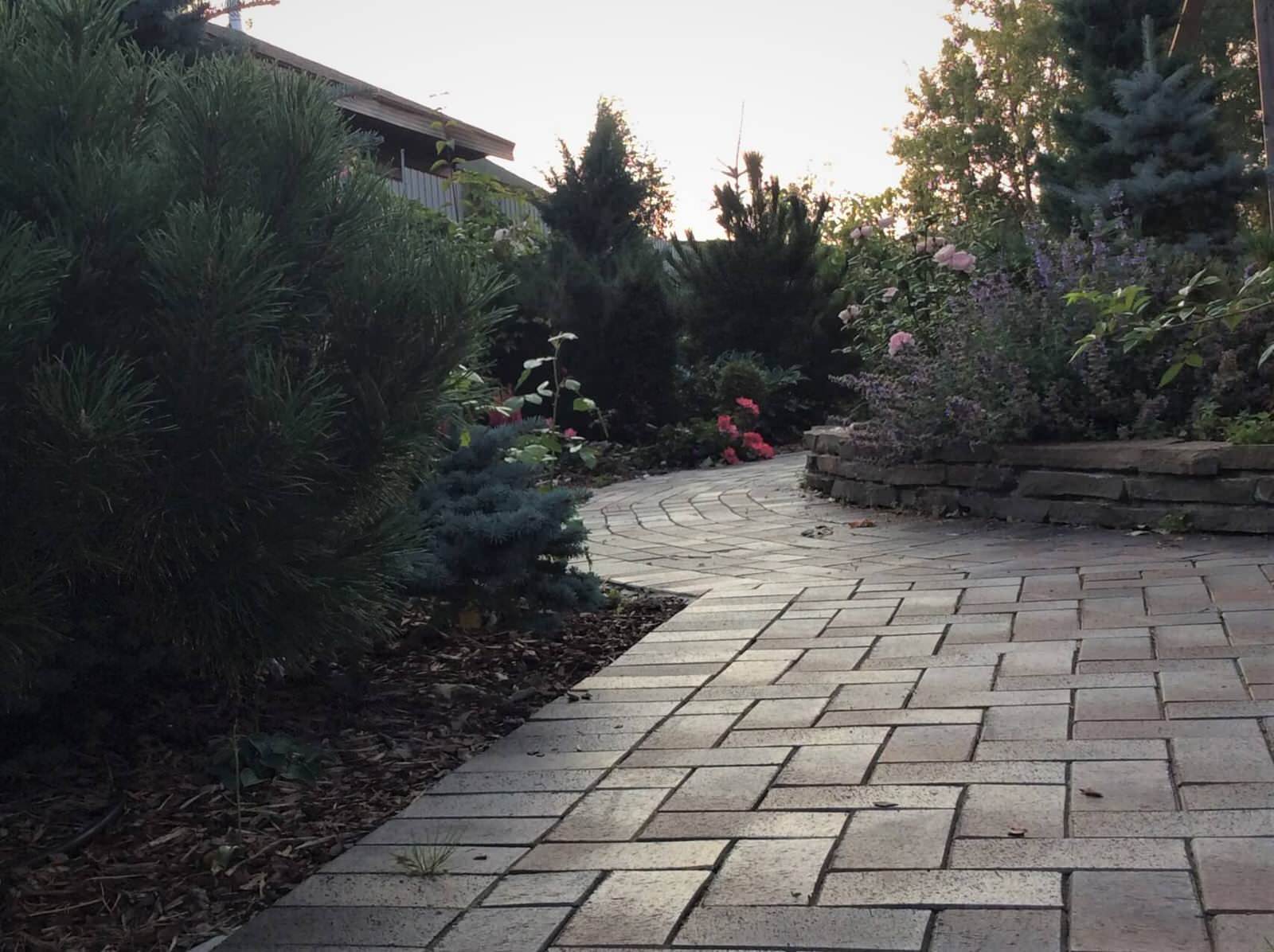 СНЫ О ЧЕМ_ТО БОЛЬШЕМ...