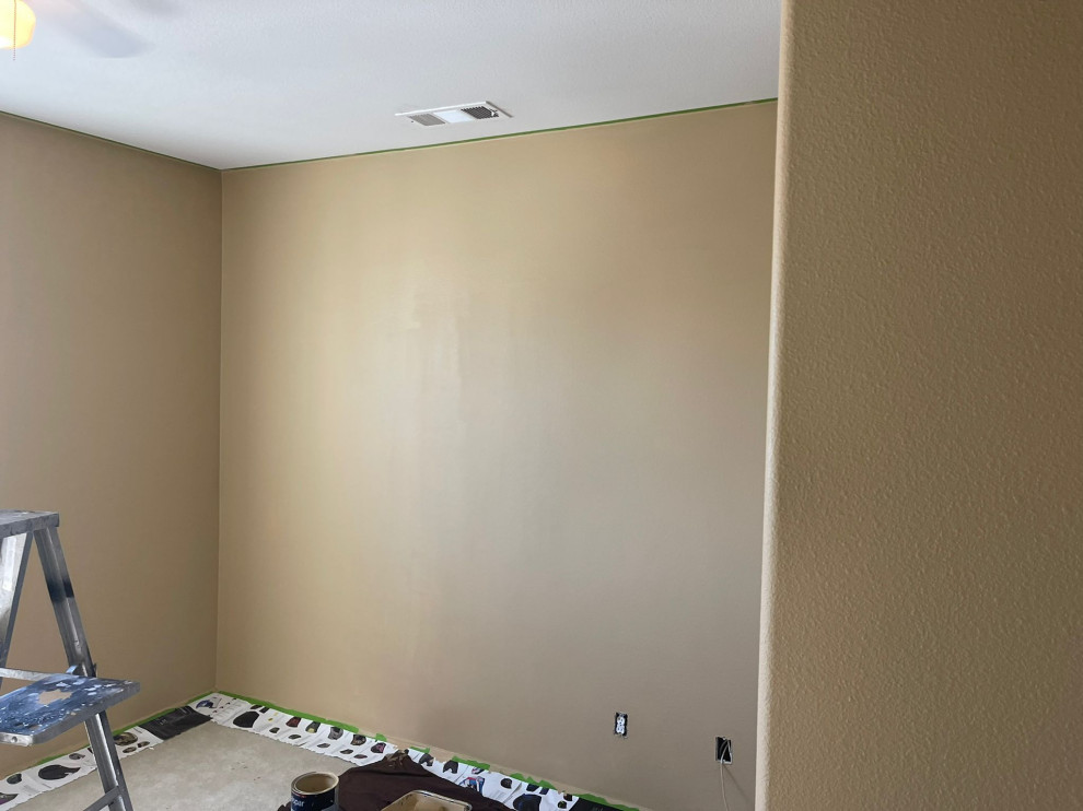 Exterior And Interior Paint