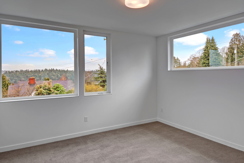 Lake Washington Modern