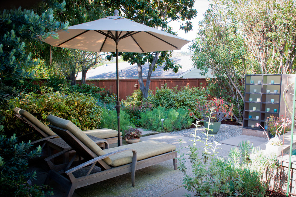 Foto de patio actual grande en patio trasero y anexo de casas con jardín de macetas y adoquines de hormigón