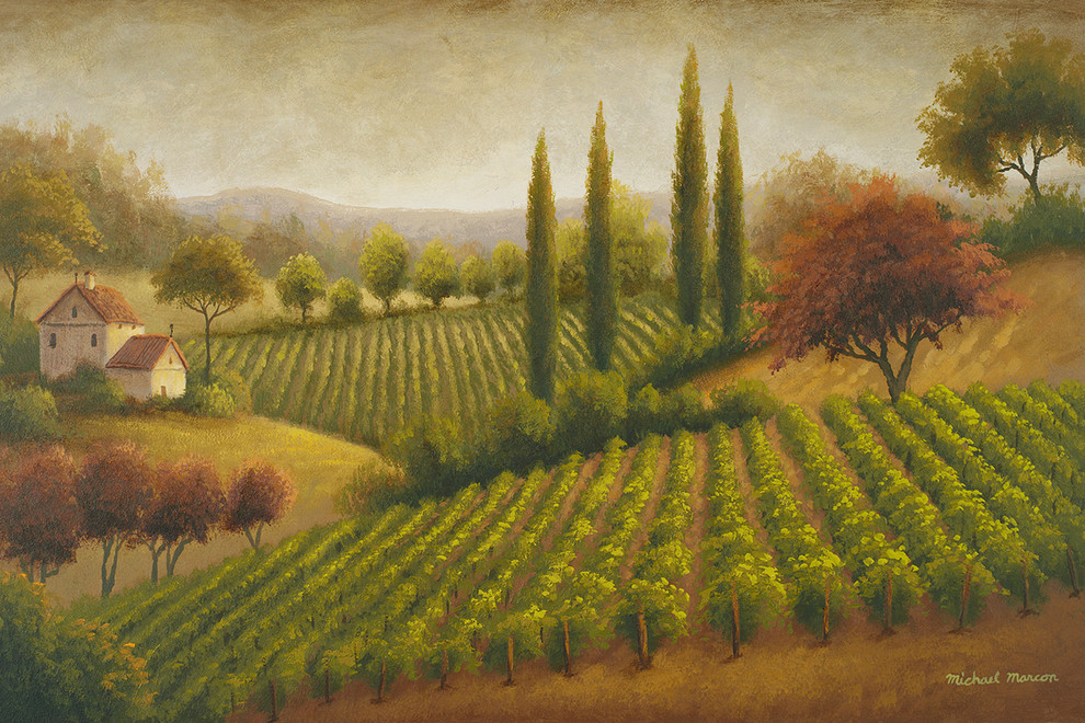"Vineyard In The Sun I" Canvas Art, 36"x24"