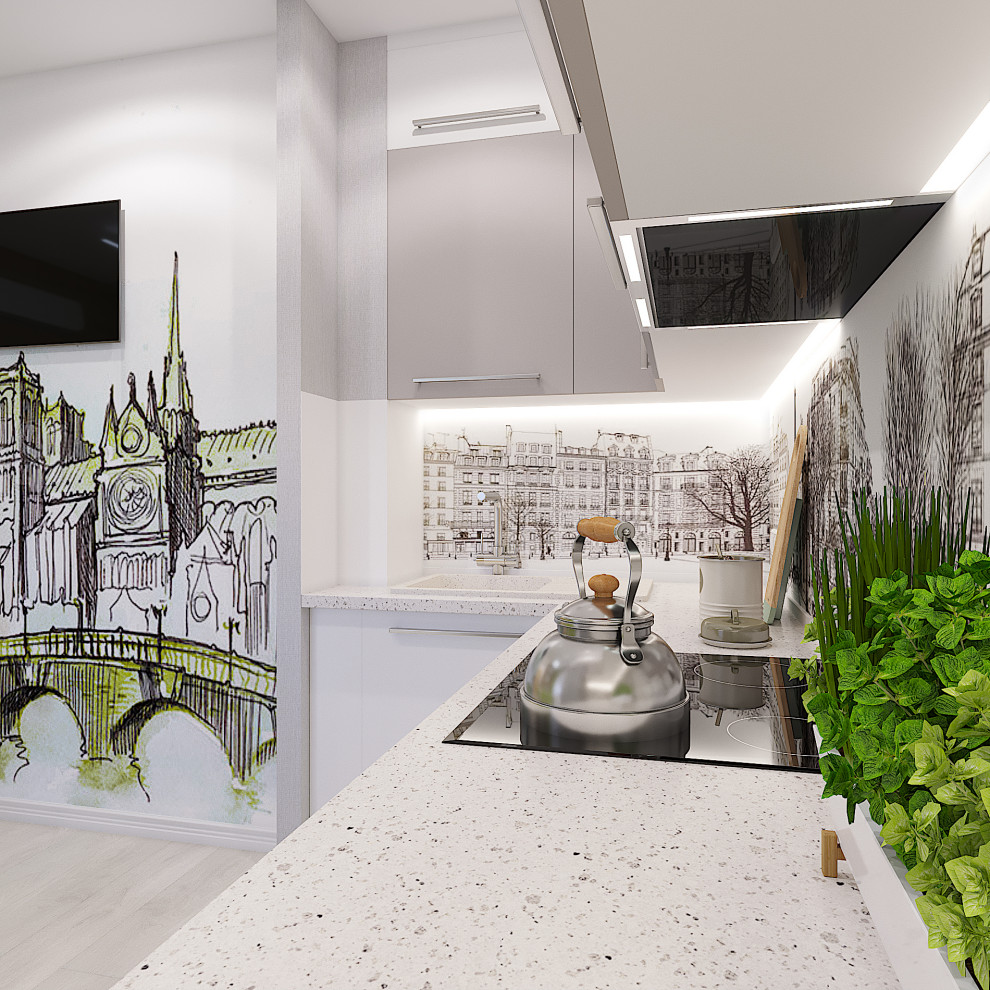 Проект двухкомнатной квартиры на пр.Ленина