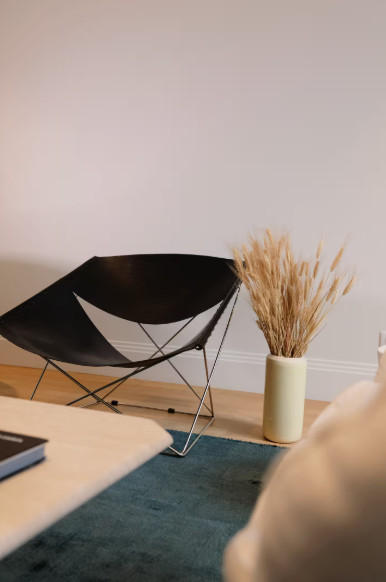 Conception et ré novation d'un Appartement à Paris 16e