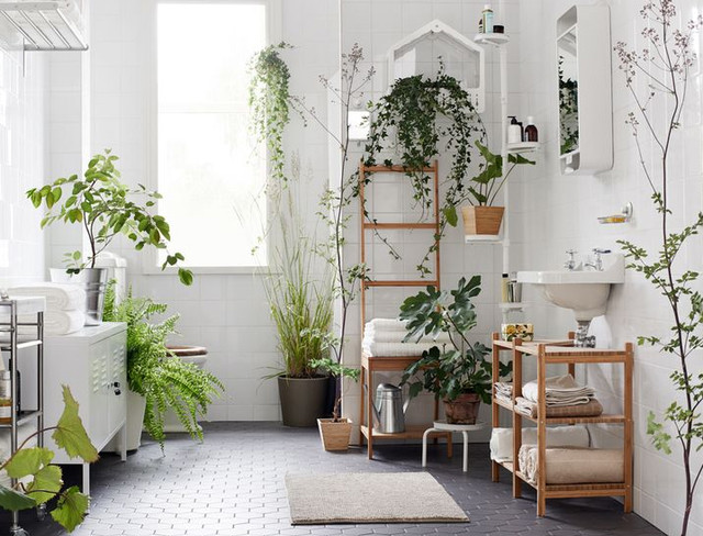 10 ideas de Plantas decorativas  plantas, plantillas decorativas, plantas  de interior