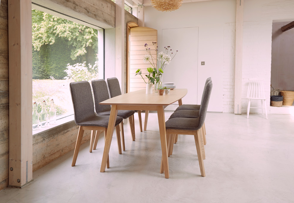 Inspiration for a modern dining room in London.