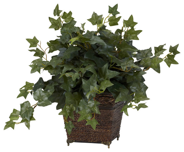Puff Ivy with Coiled Rope Planter Silk Plant