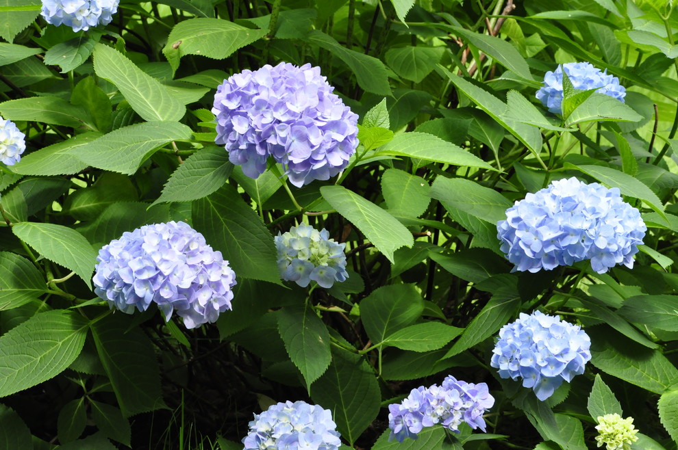 кп "Успенские дачи" - Уход за садом - 100% качество!