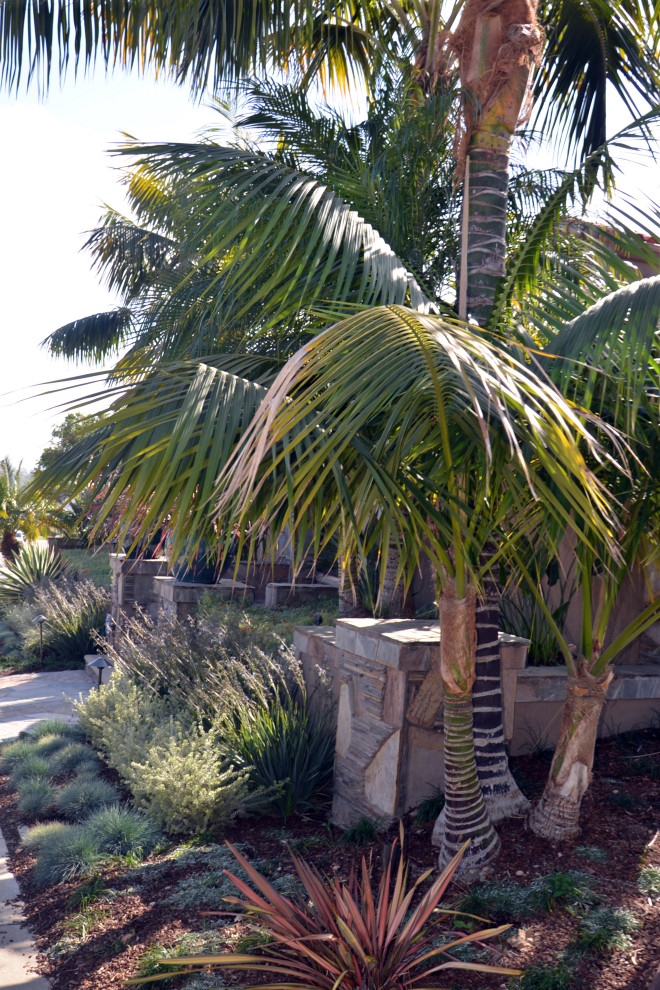 This is an example of a mid-sized beach style front yard partial sun xeriscape in San Diego with a garden path.