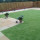 Aberdeen Fencing and Decking Pro's