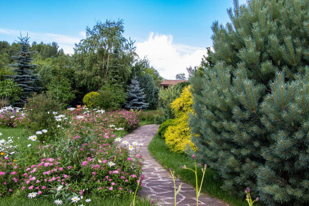 Сосновые берега