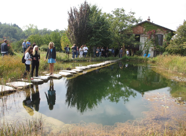 BioNova Natural Swimming Pools - International swimming-pool-and-hot-tub