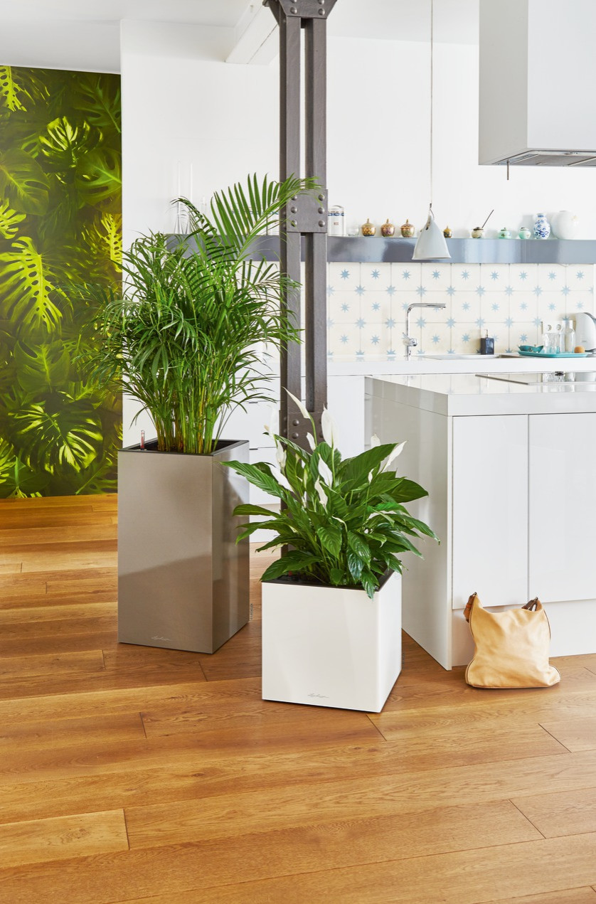 Новое в глянце!