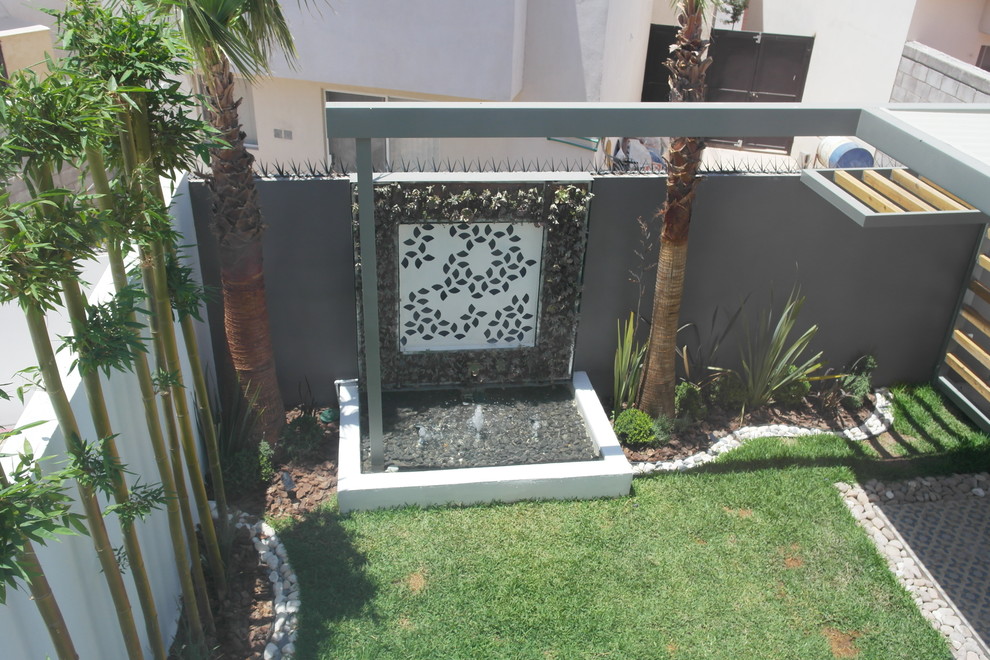 This is an example of a small eclectic backyard patio in Other with a vertical garden and tile.